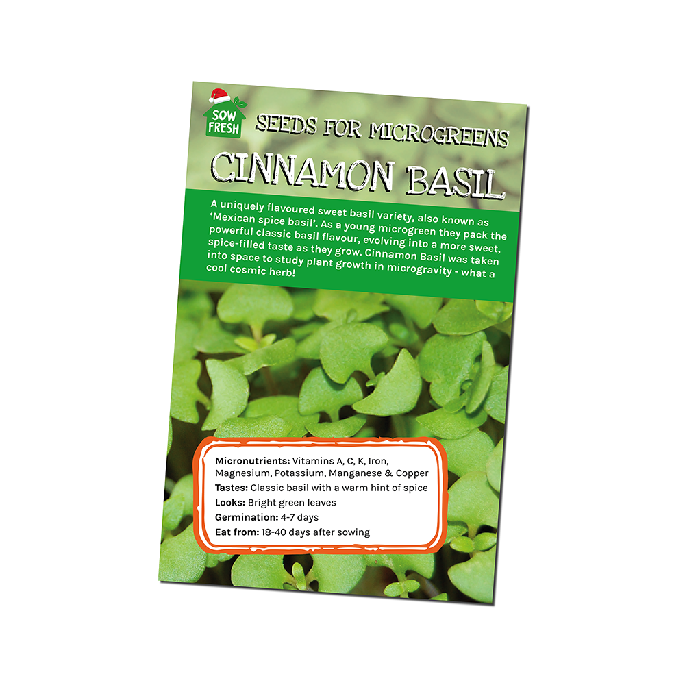 Cinnamon Basil